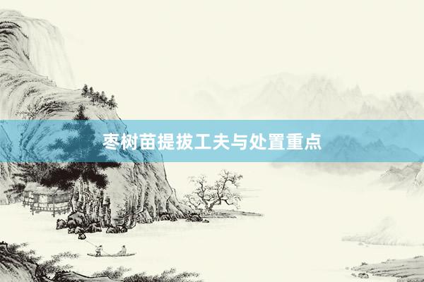 枣树苗提拔工夫与处置重点