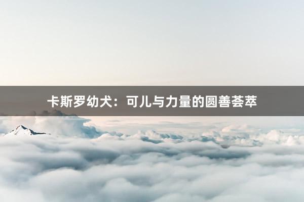 卡斯罗幼犬:可儿与力量的圆善荟萃